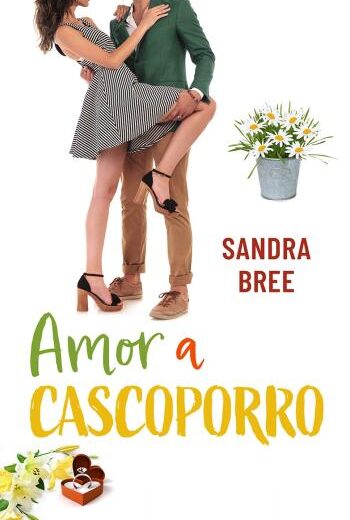 Amor a cascoporro libro en epub