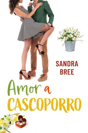 Amor a cascoporro libro en epub