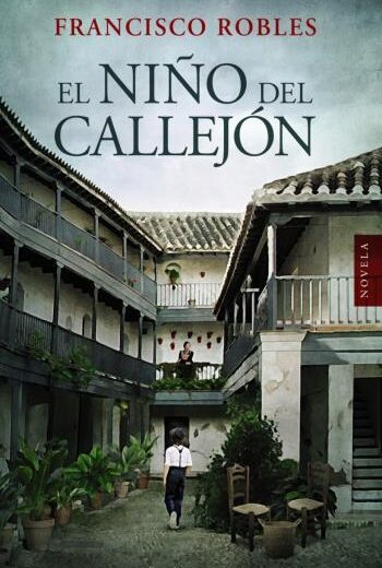 El niño del callejón libro en epub