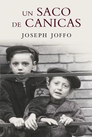 Un saco de canicas libro en epub