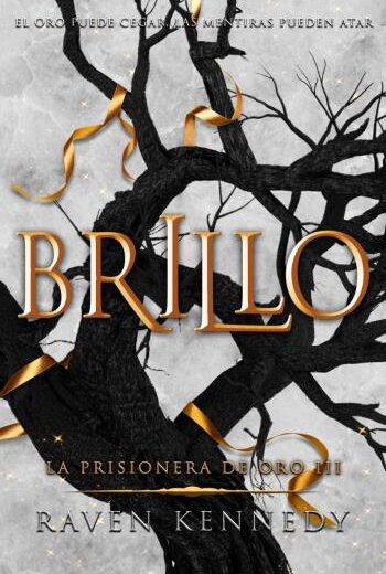 Brillo libro en epub