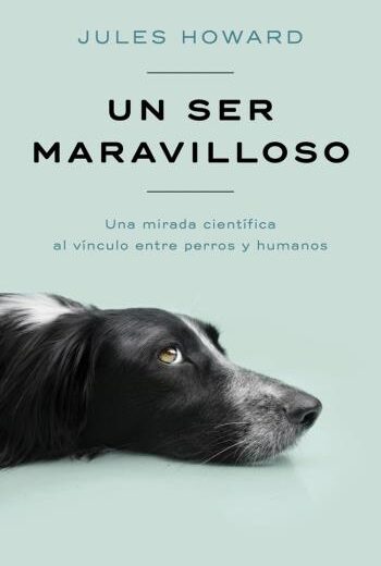 Un ser maravilloso libro en epub