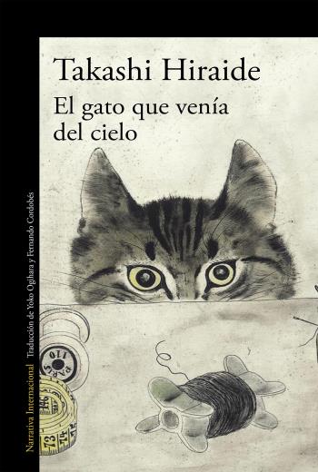 El gato que venía del cielo libro en epub