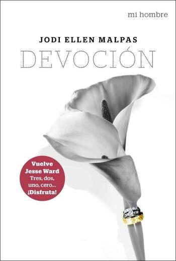 Devoción libro en epub