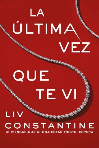 La última vez que te vi libro en epub