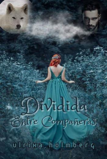 Dividida entre compañeras libro en epub 