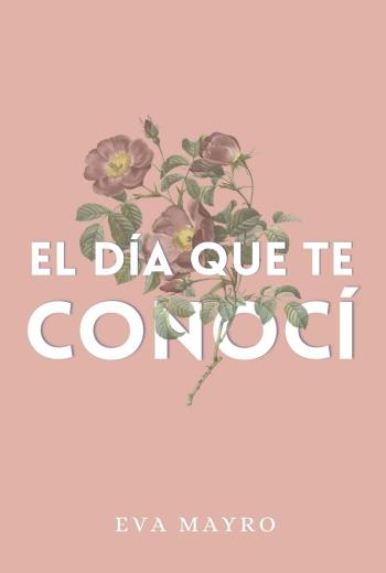 El día que te conocí libro en epub