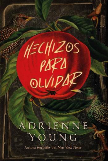 Hechizos para olvidar libro en epub