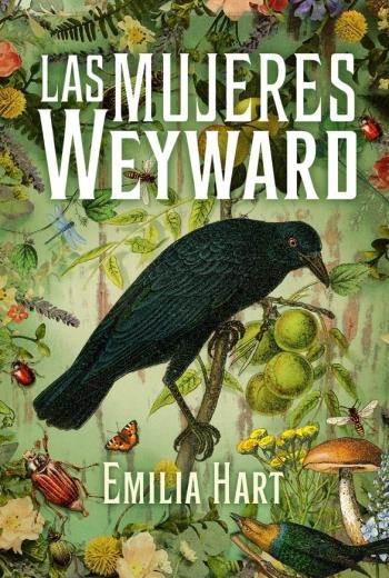 Las mujeres Weyward libro en epub