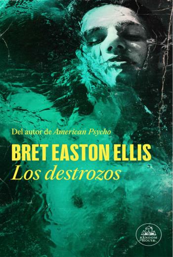 Los destrozos libro en epub