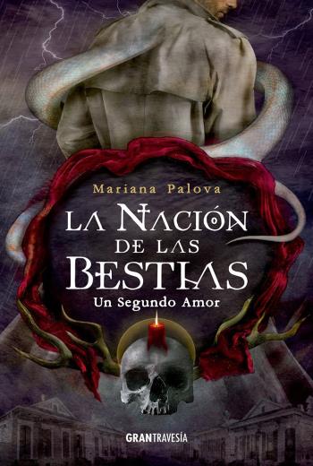 Un segundo amor libro en epub