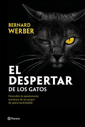 El despertar de los gatos libro en epub