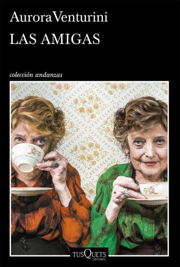 Las amigas libro en epub