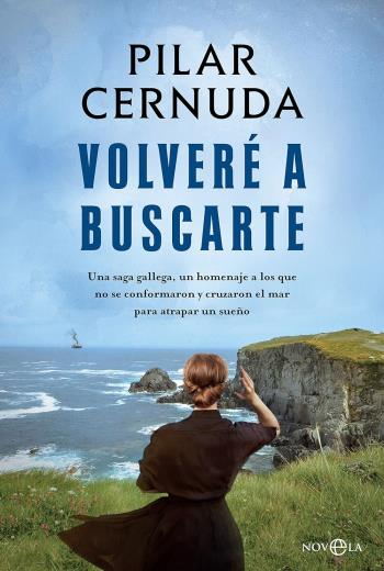 Volveré a buscarte libro en epub