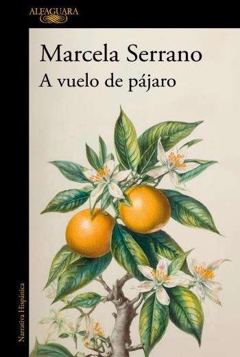 A vuelo de pájaro libro en epub