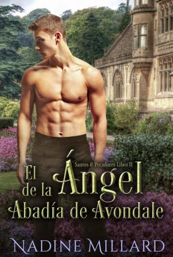 El Ángel de la Abadía de Avondale libro en epub