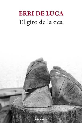 El giro de la oca libro en epub