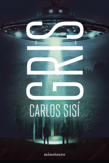 Gris libro en epub