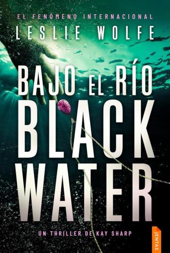 Bajo el río Blackwater libro en epub