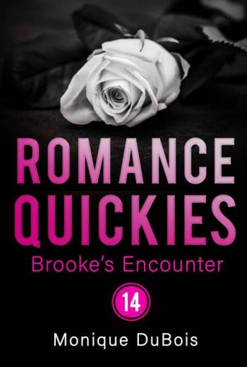 El encuentro de Brooke 14 libro en epub gratis