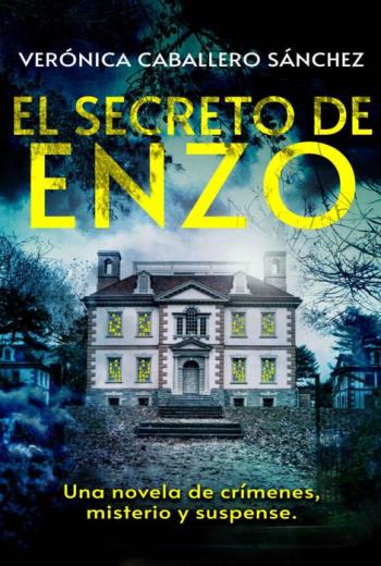 El secreto de Enzo libro en epub gratis