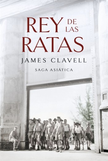 Rey de las ratas epub gratis