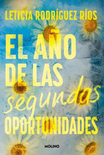 El año de las segundas oportunidades libro en epub gratis