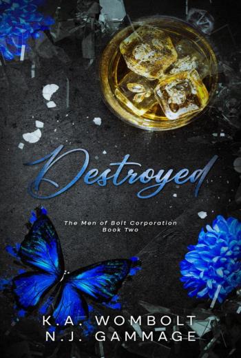 Destroyed libro en epub gratis