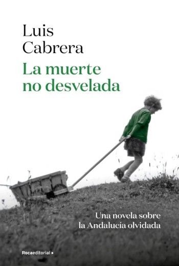 La muerte no desvelada epub gratis