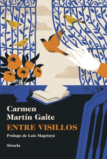 Entre visillos