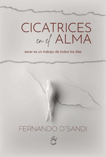 Cicatrices en el alma