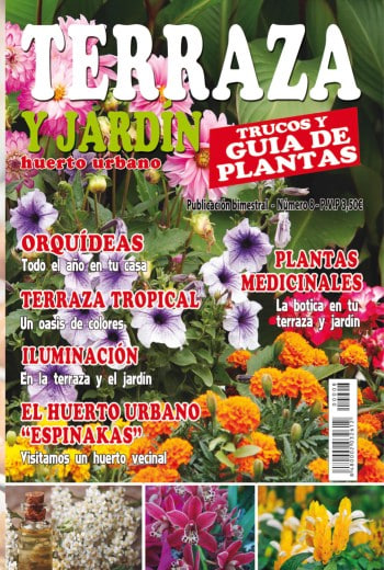 Terraza y Jardín núm. 8
