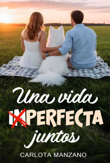 Una vida (im)perfecta juntos